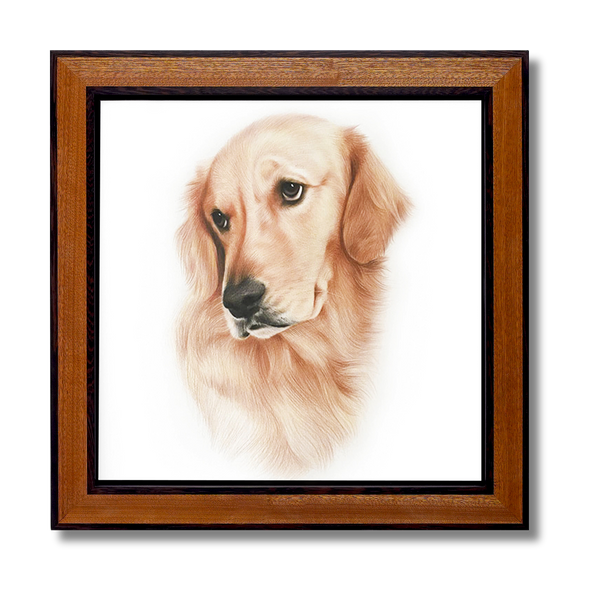 Custom Pencil Pet Portrait